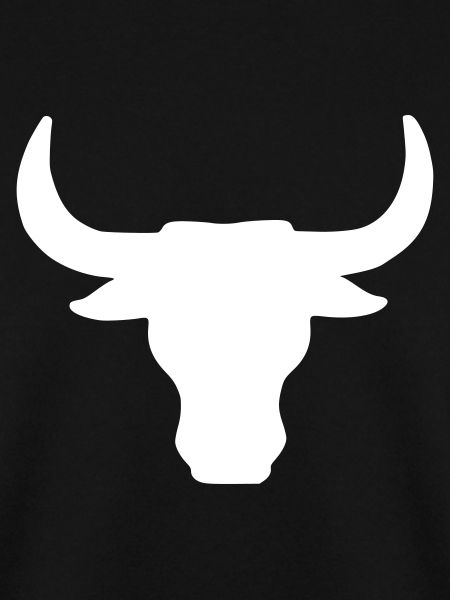 stier - stierkopf