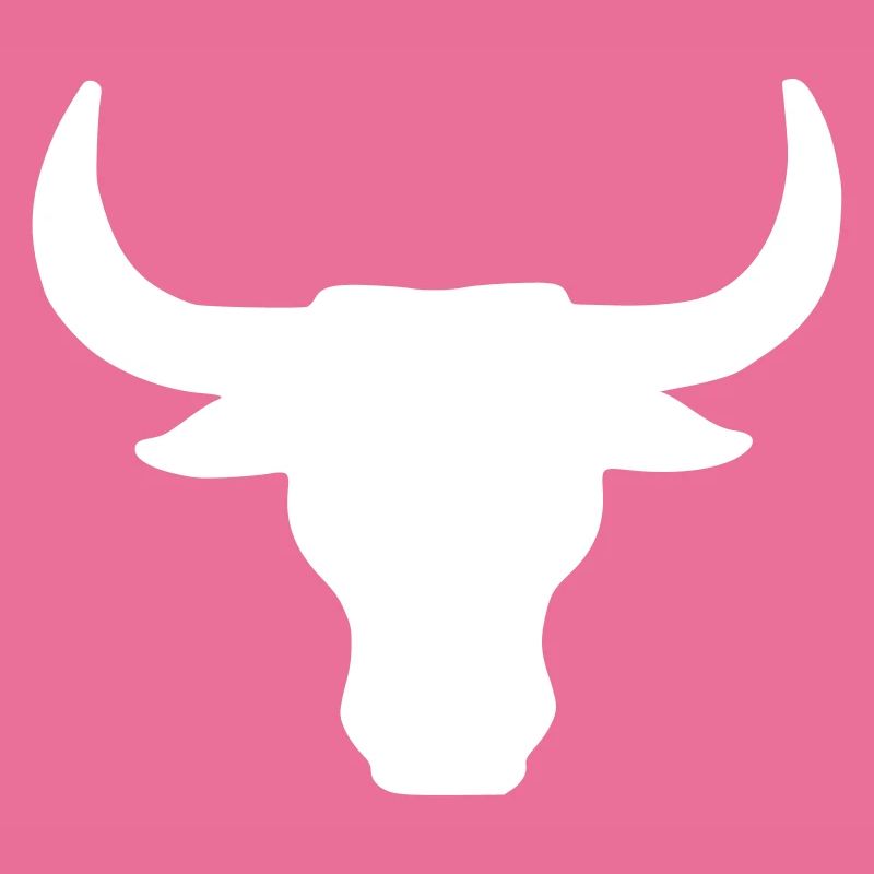 stier - stierkopf