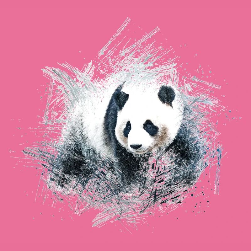 Panda Bär