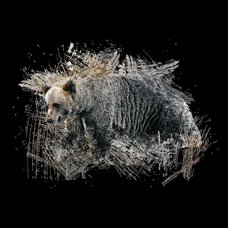 Bär