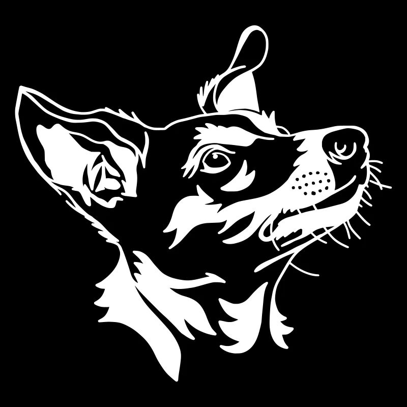 Jack Russell