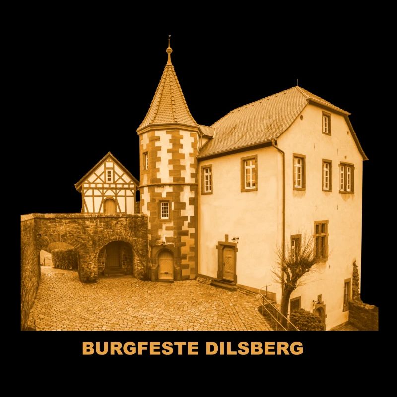 Dilsberg Castle Castle Neckargemünd Baden-Württem