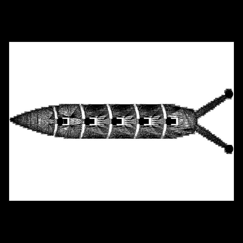 Kackschnecke
