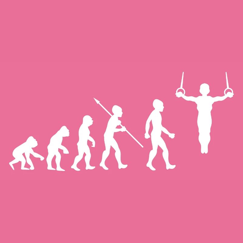 Evolution Gymnastics Gymnastics Acrobatics Gymnastics