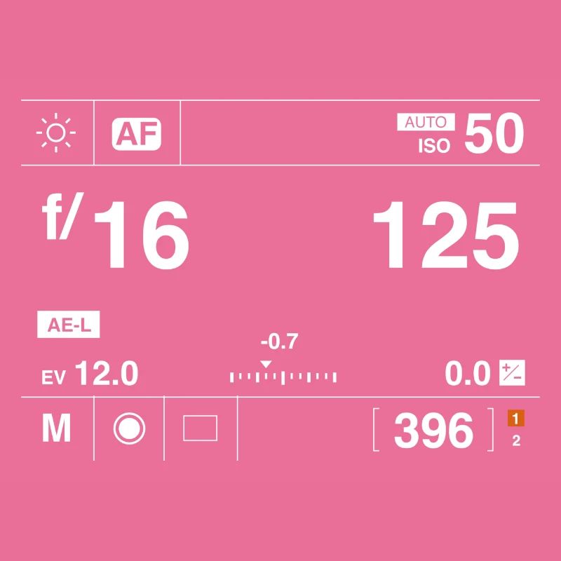 Hasselblad screen