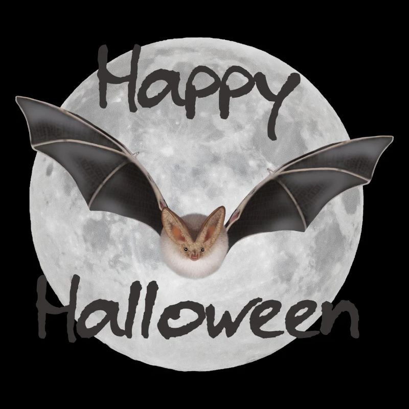 Fledermaus