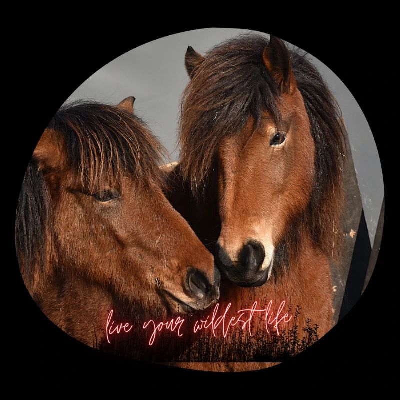 Pferde -Liebe