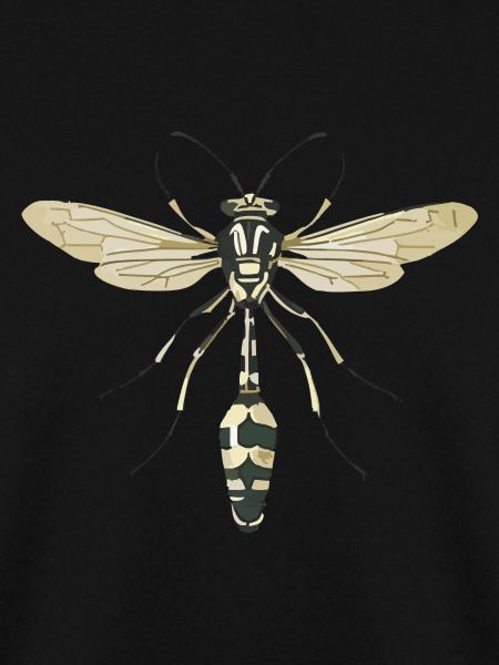 insect