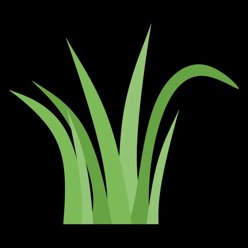 Gras