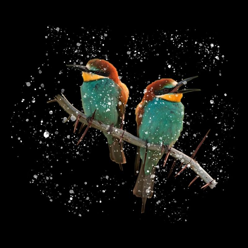 Winter Birds