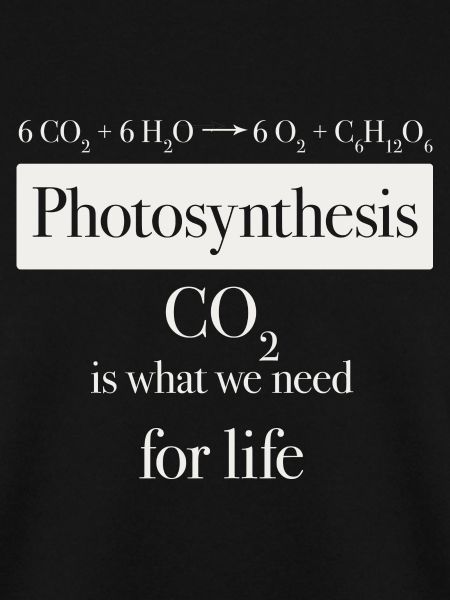 photosythesis
