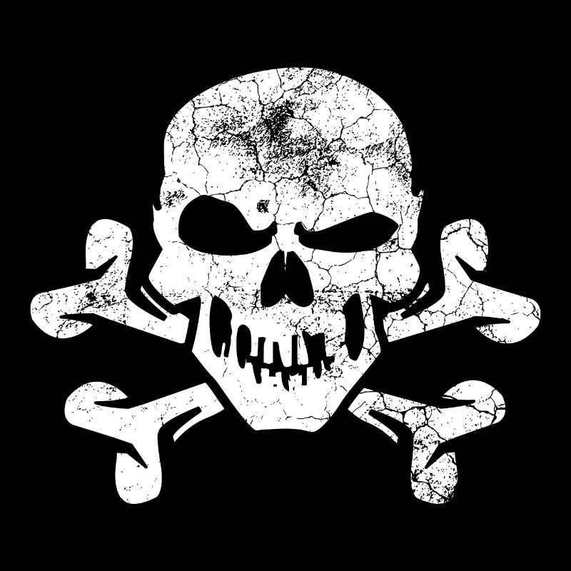 Pirate Skull And Crossbones