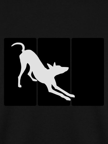 Podenco, ibizan hound 1