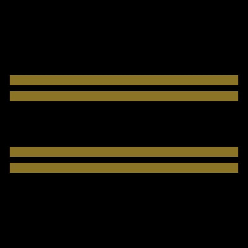 striche