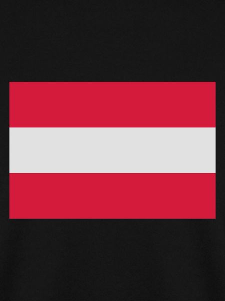 Österreich Flagge