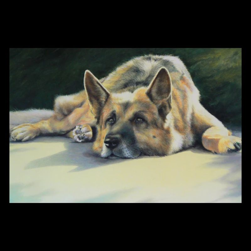 Schäferhund chillt