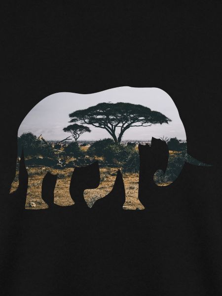 Elefant Savanne Silhouette