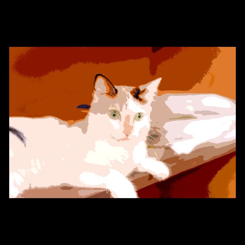 Ich liebe Katzen