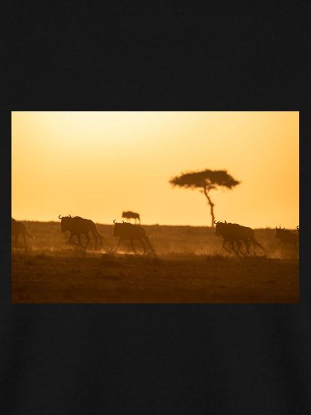 Wildebeest, Gnus D5N 8065