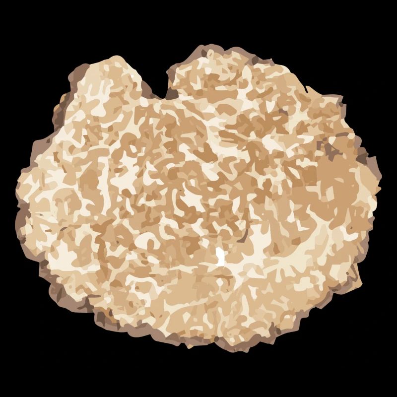 Truffle Slice Brown