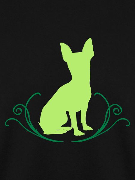 Kurzhaar Chihuahua