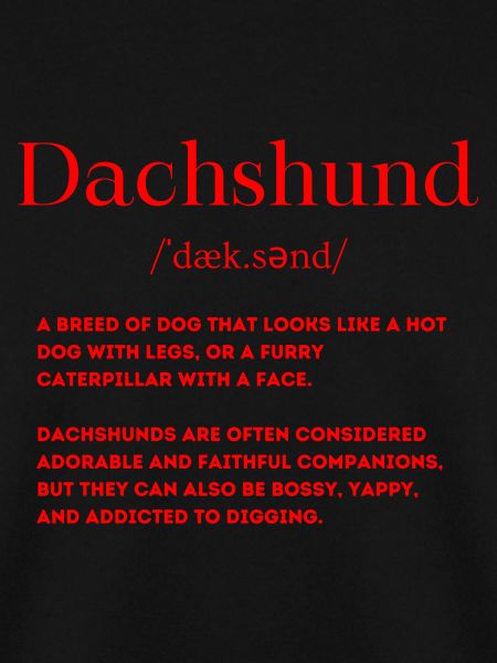 Dackel Definition