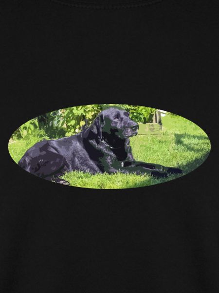 Labrador