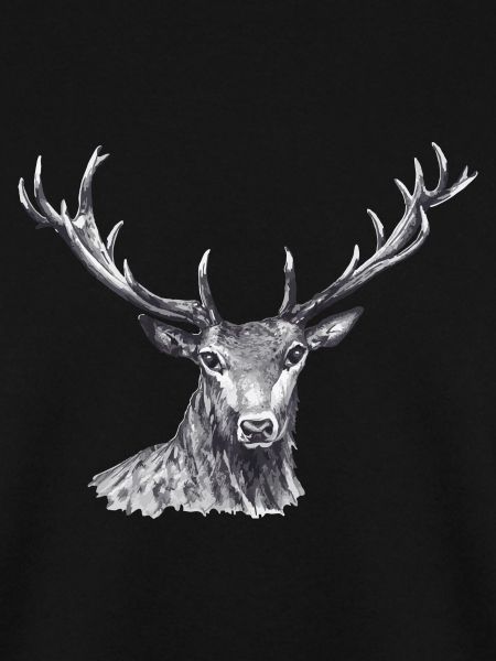 Hirsch