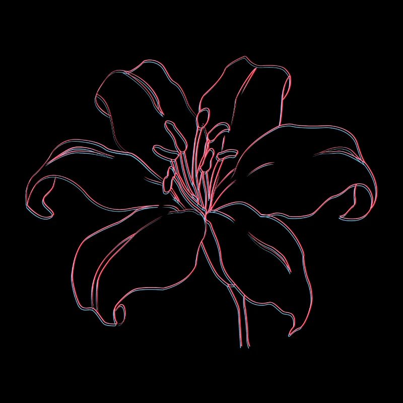 WHITE LILY