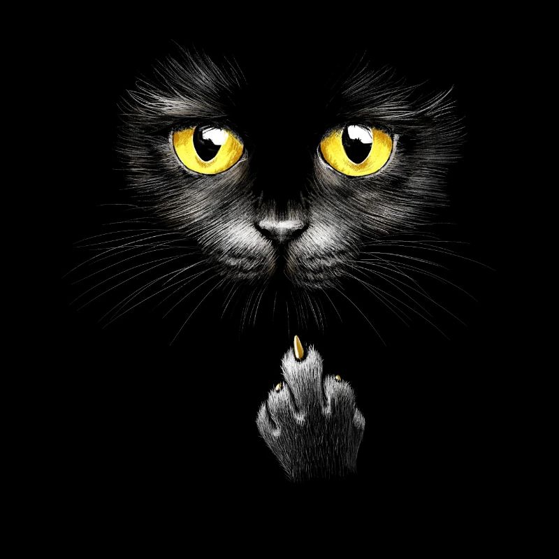 Freche Bombay Katze Mittelfinger Hauskatze