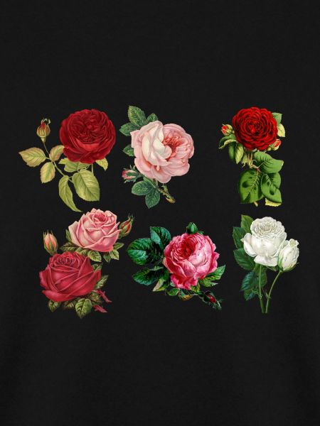 Rosen gemalt