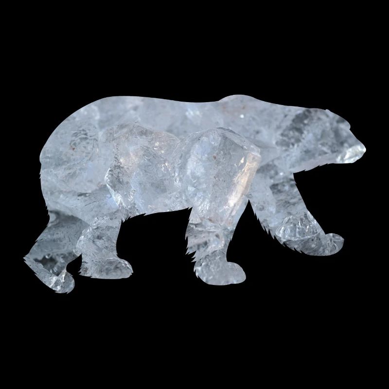 Polar bear polar bear