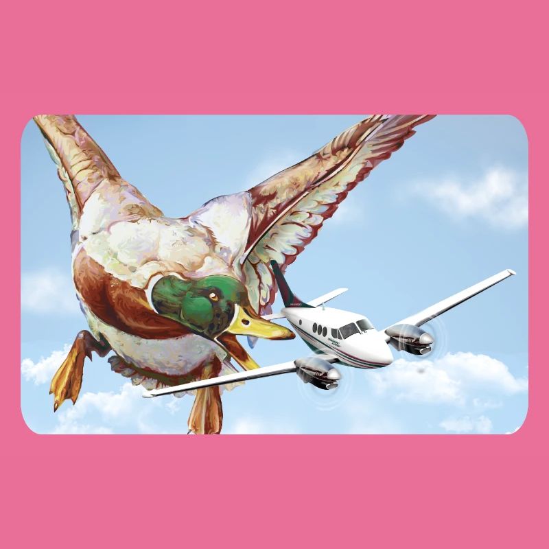 Duck attack (version 1 without speech bubble)