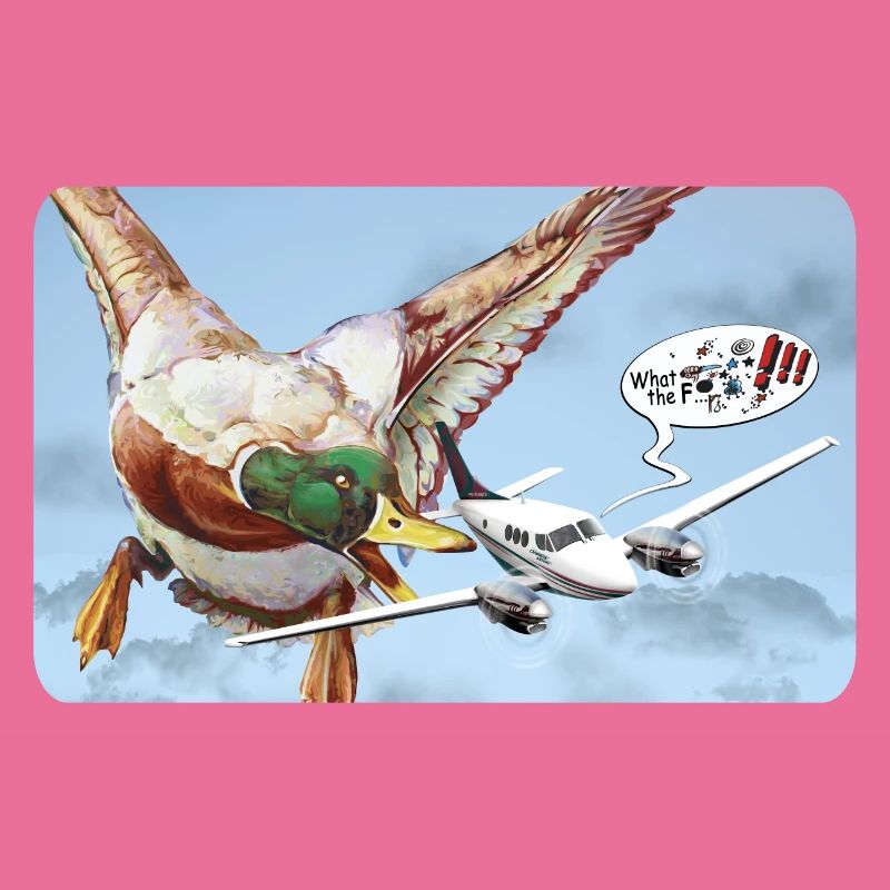 Duck Attack (version with speech bubble)