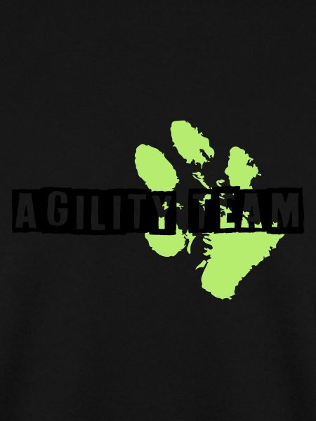 AgilityTeam