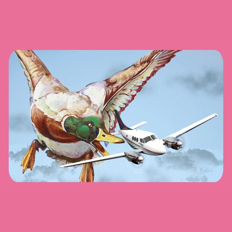 Duck Attack (Version 2 without speech bubble)