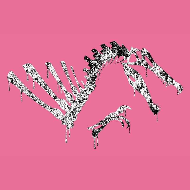 Spinosaurus-Schädel