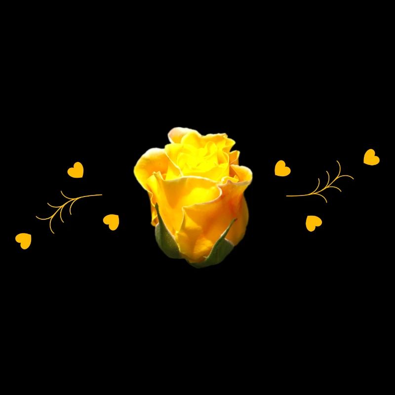 gelbe Rosen