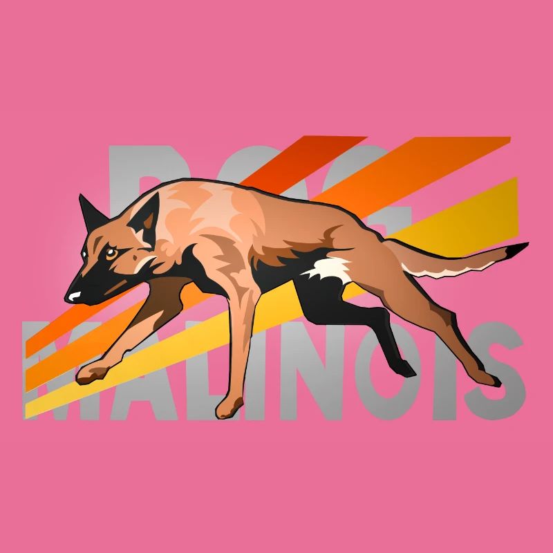Malinois veloce