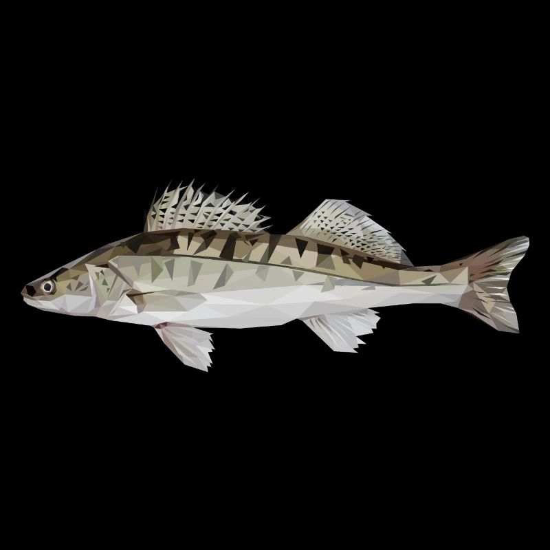 Low Poly Zander