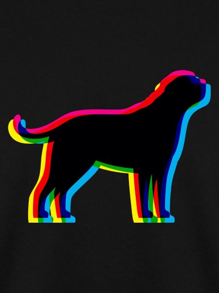 CMYK Bernhardiner