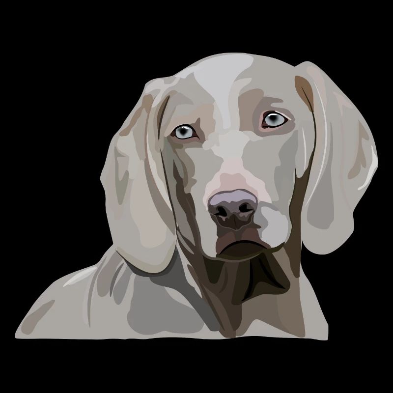 Weimaraner