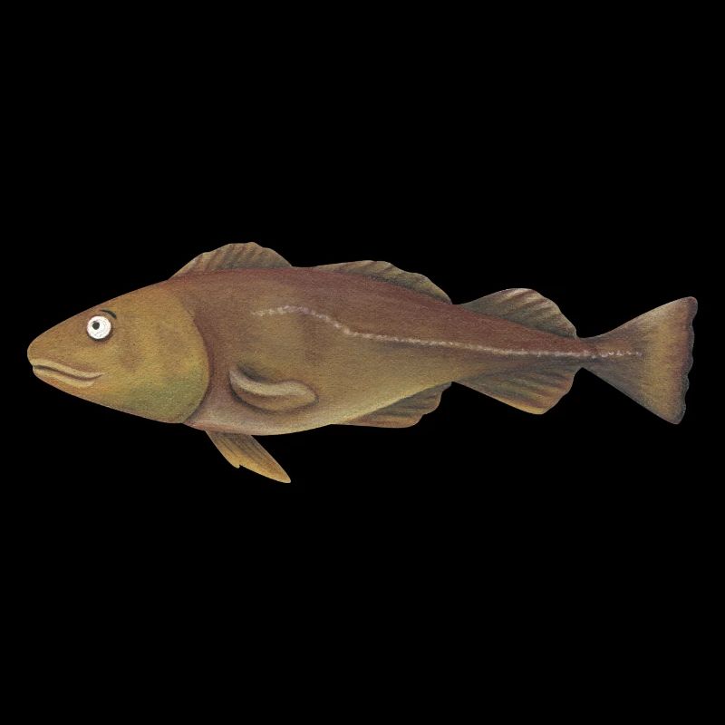 Kabeljau