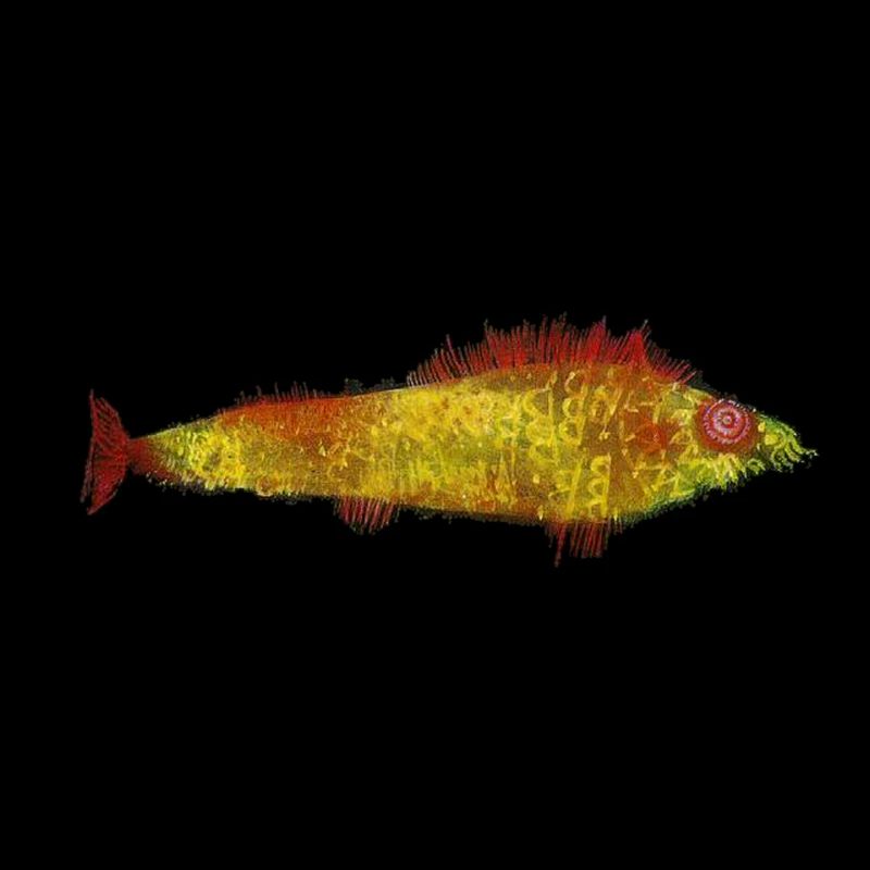 Paul Klee - Le poisson rouge - Der Goldfisch