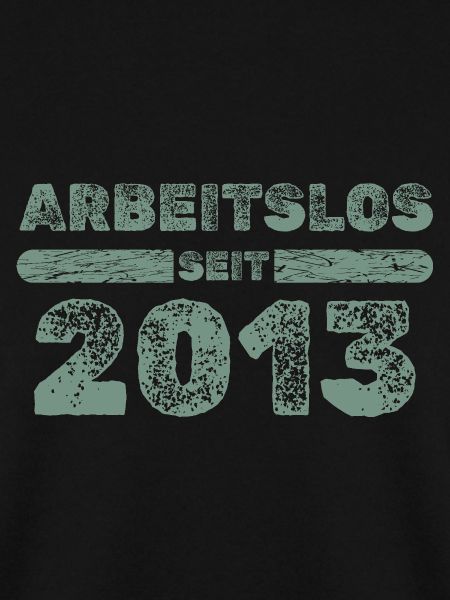 2013 2013