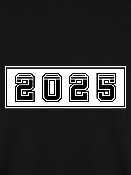 2025 year