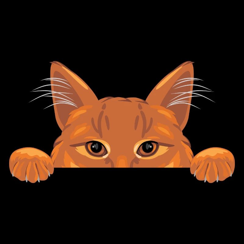 Chat au gingembre