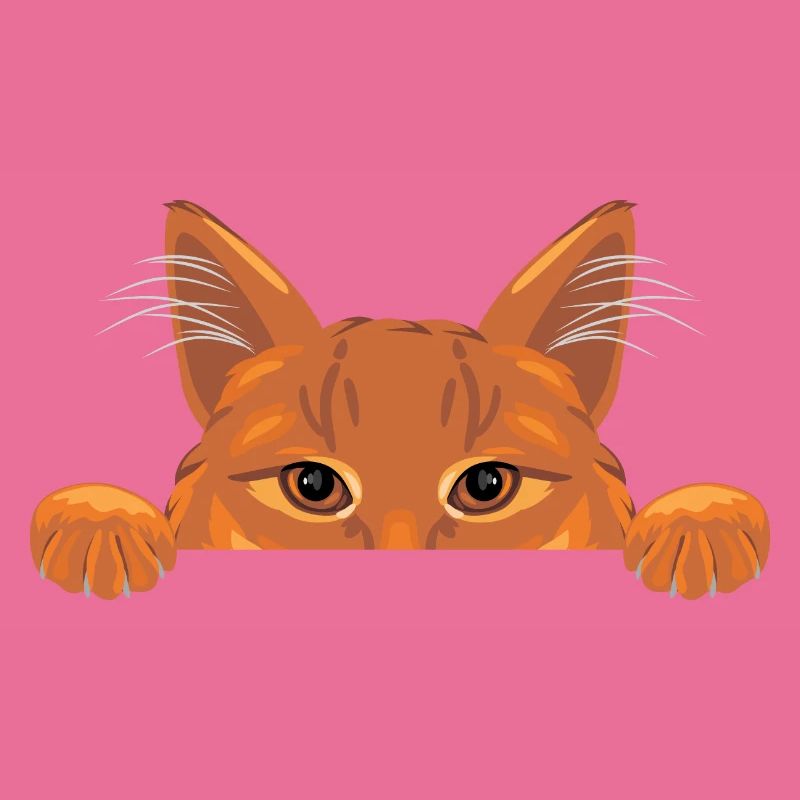 Chat au gingembre