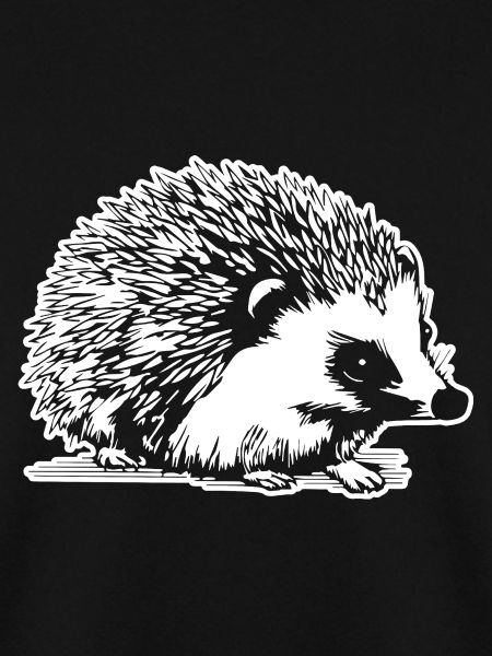 Igel Wald Stachelig Tier