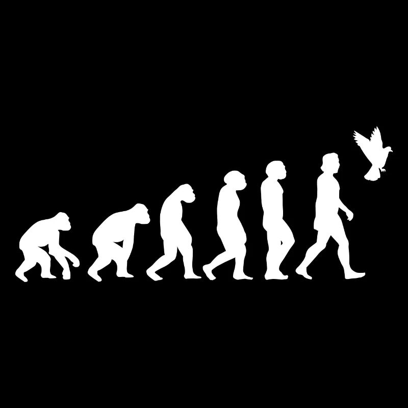Pigeon Birds Evolution of Humans Animals
